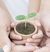 �X���C���[�W